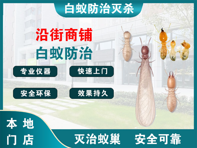 丹徒沿街商铺白蚁防治