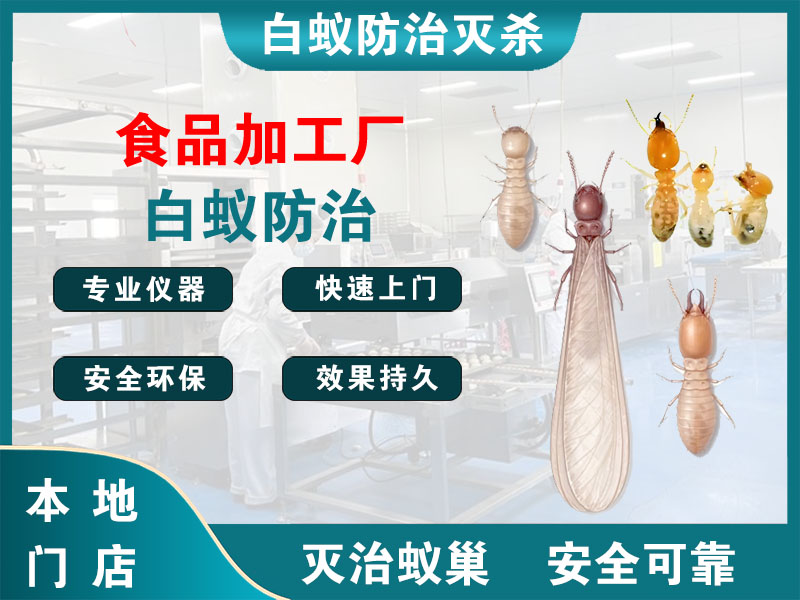 丹徒食品加工厂白蚁防治