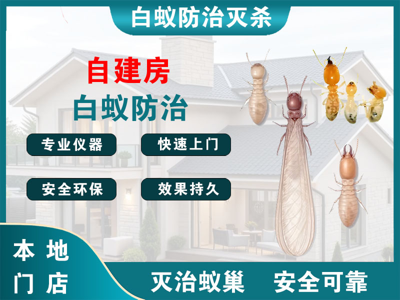 丹徒自建房白蚁防治