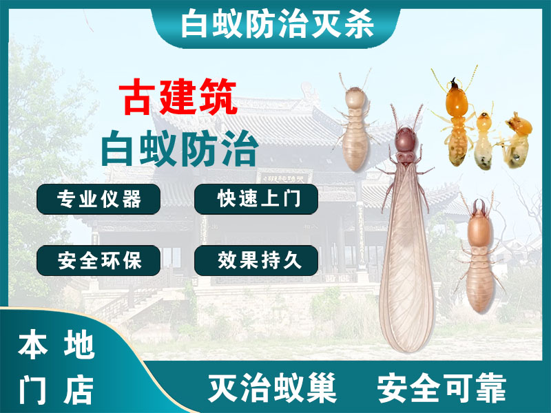 丹徒古建筑白蚁防治