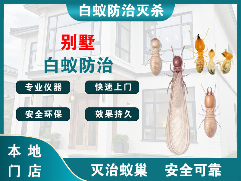 丹徒别墅白蚁防治
